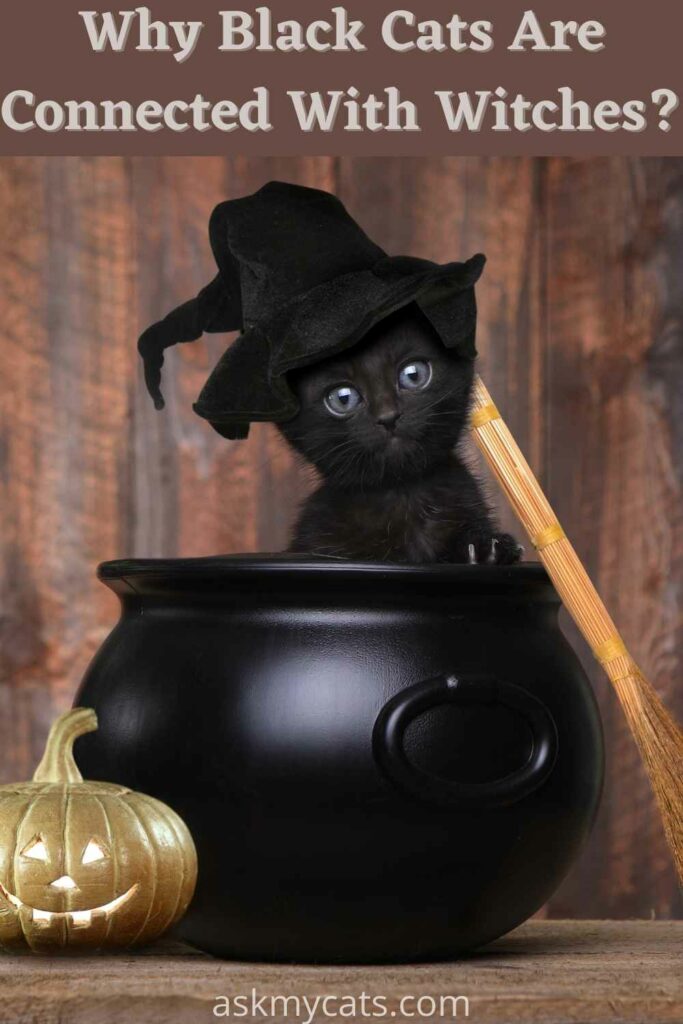 why black cats are connected with witches?