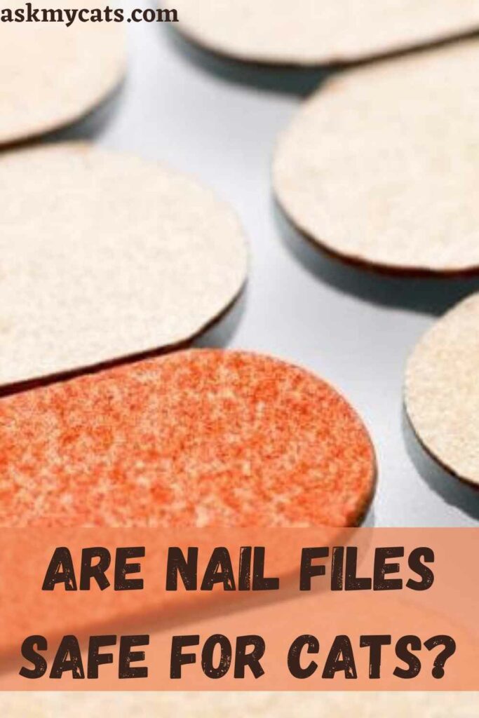 Are Nail Files Safe For Cats?