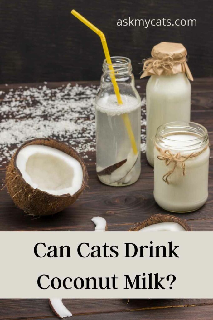 Is coconut milk bad for clearance cats