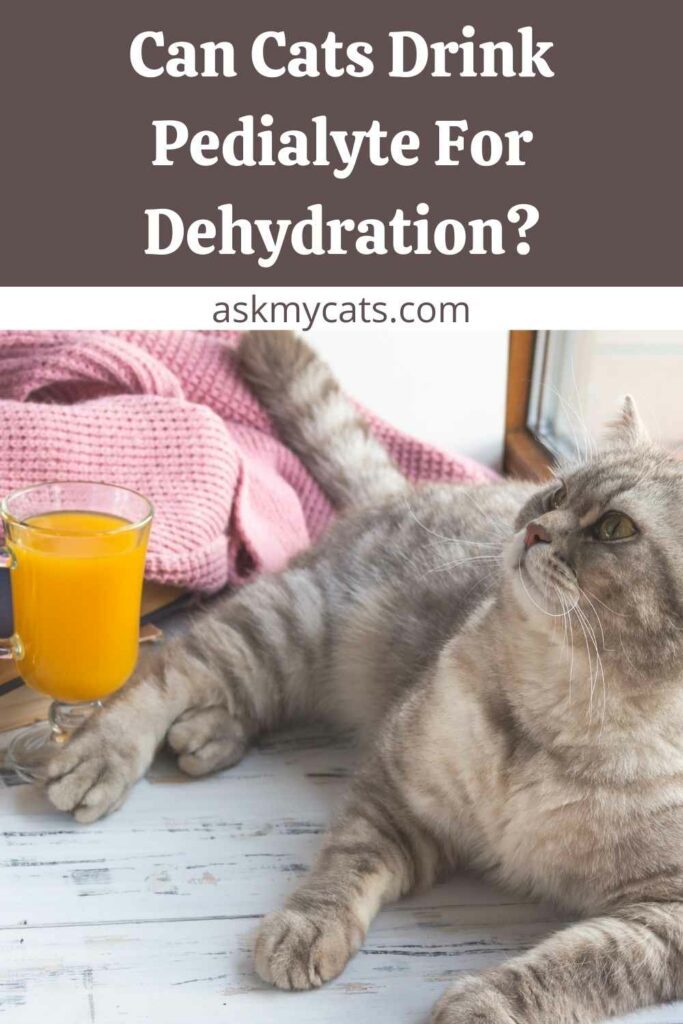 pedialyte cat