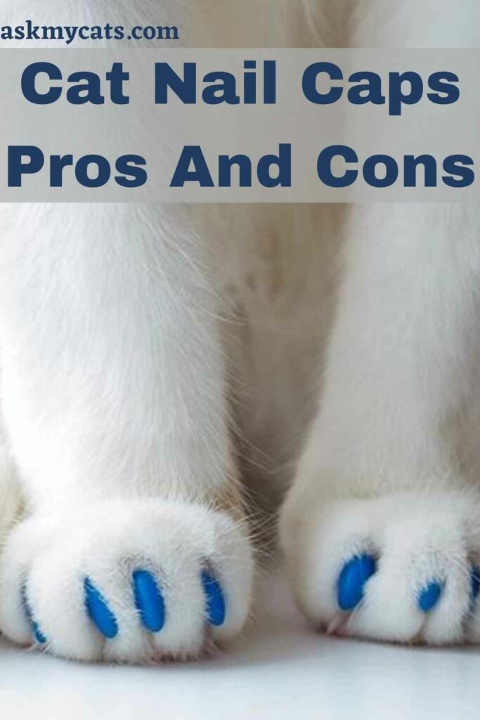 Cat Nail Caps Pros And Cons