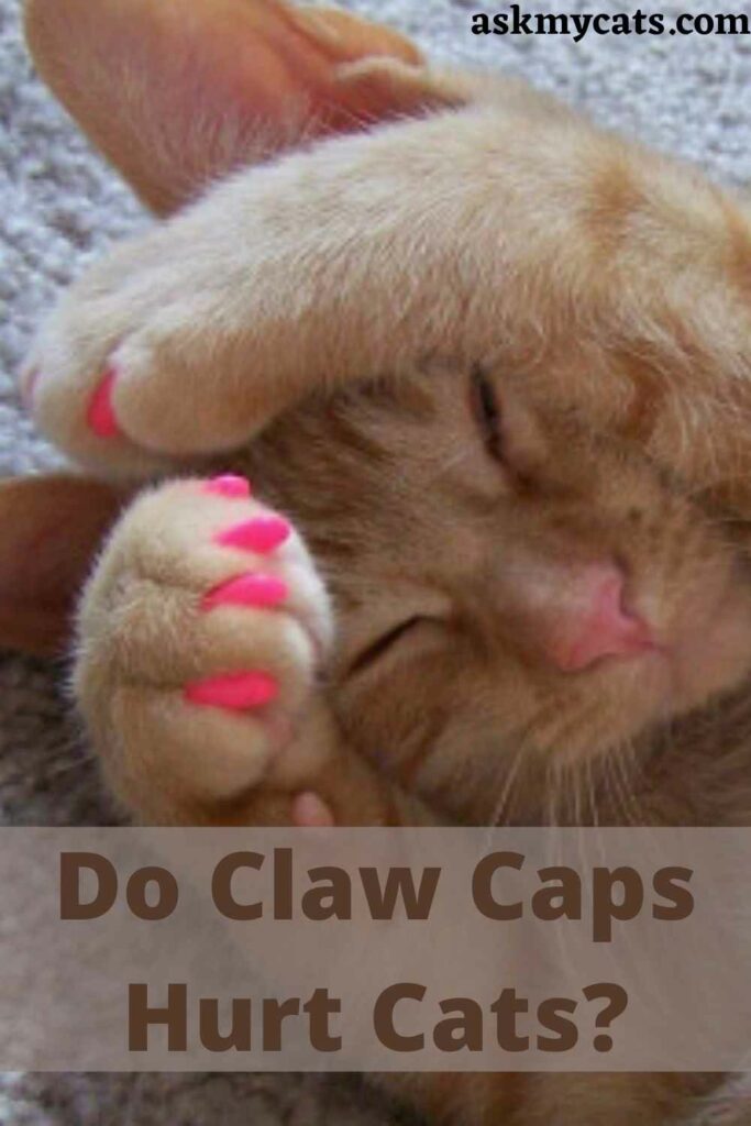 Do Claw Caps Hurt Cats?