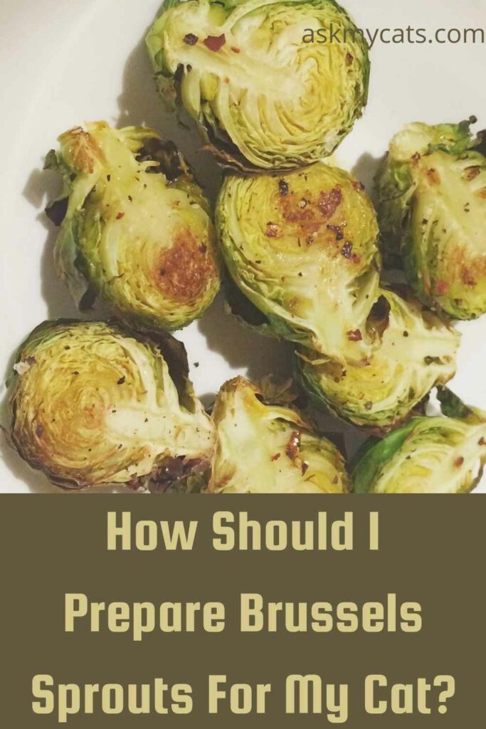 How Should I Prepare Brussels Sprouts For My Cat?