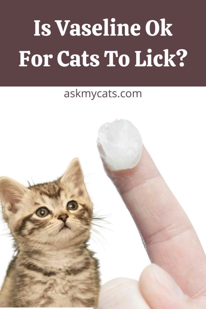 Is Vaseline Ok For Cats To Lick?