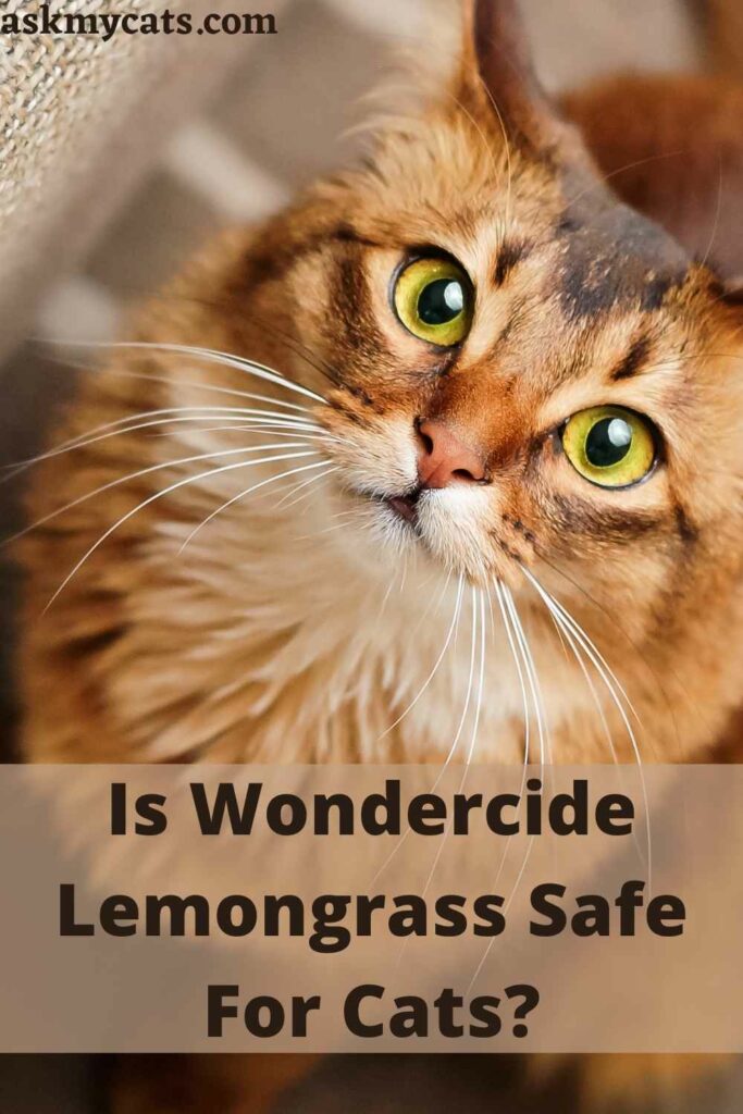 Is Wondercide Lemongrass Safe For Cats?