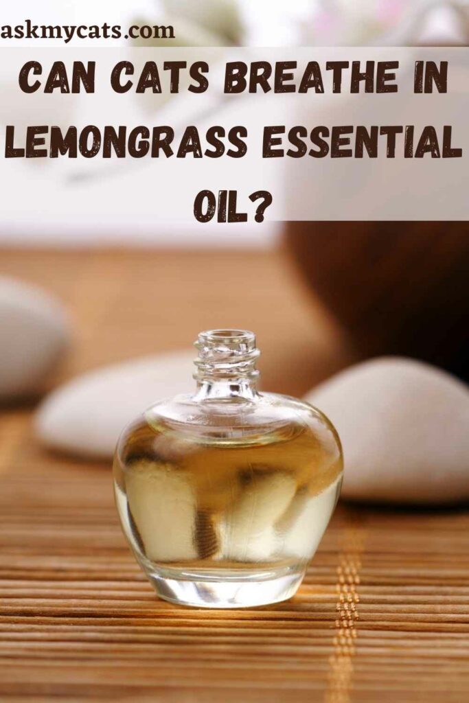 Can Cats Breathe In Lemongrass Essential Oil?