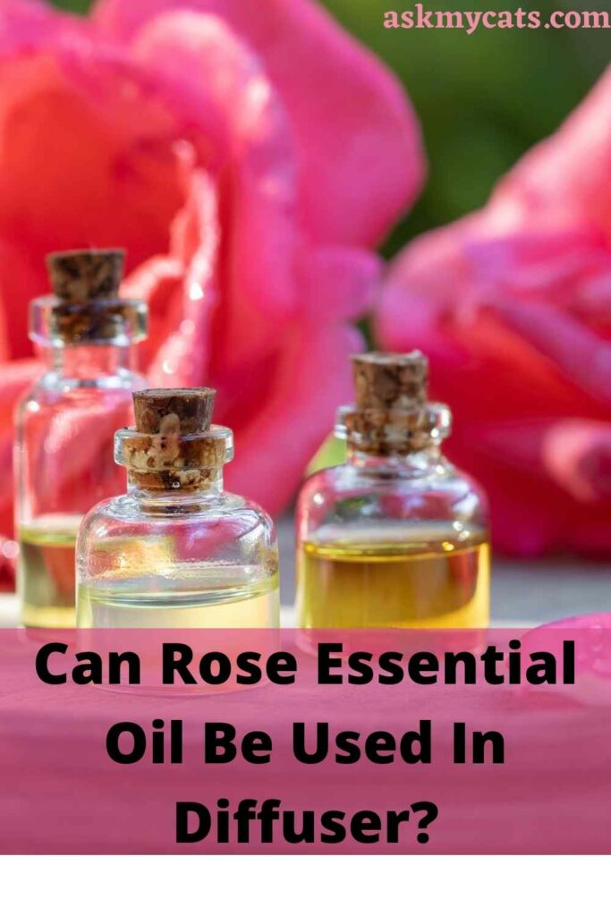 Can Rose Essential Oil Be Used In Diffuser?