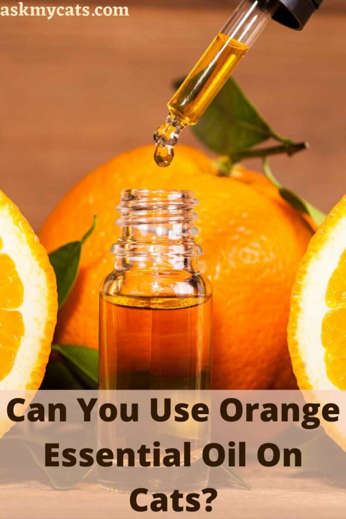 Can You Use Orange Essential Oil On Cats?