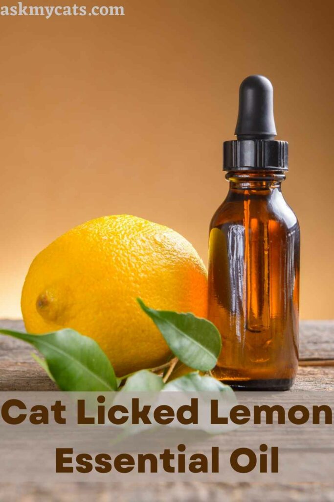 is lemon essential oil safe for dogs