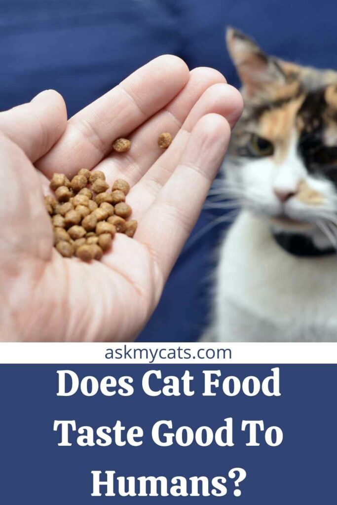 Does Cat Food Taste Good To Humans?