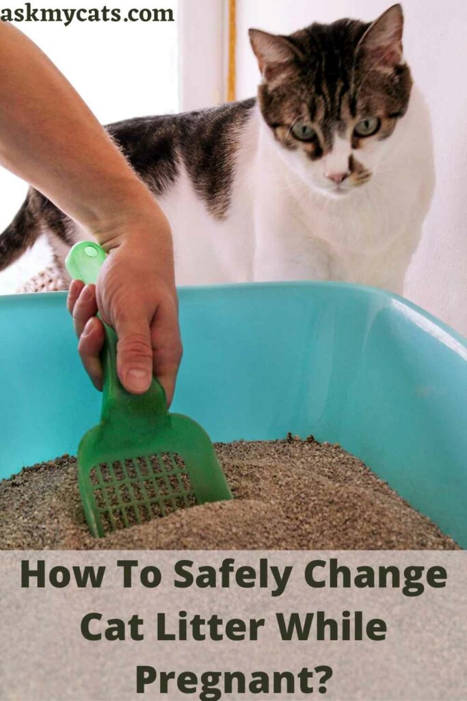 Can pregnant women change cat outlet litter