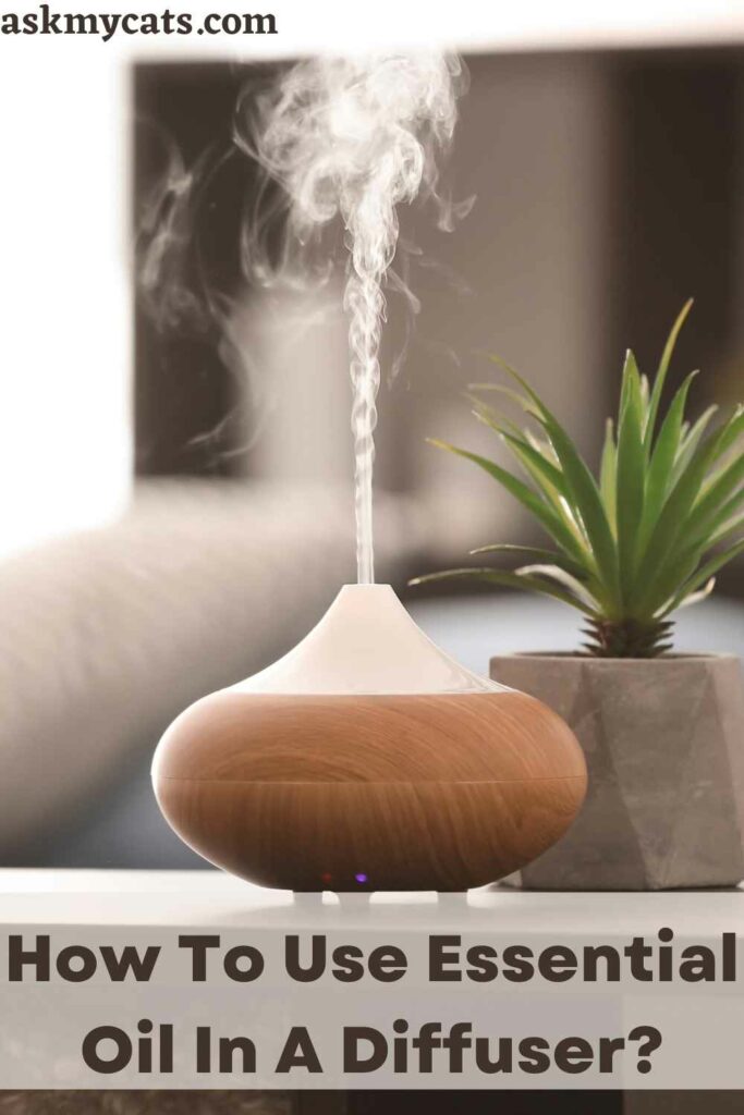 How To Use Essential Oil In A Diffuser?