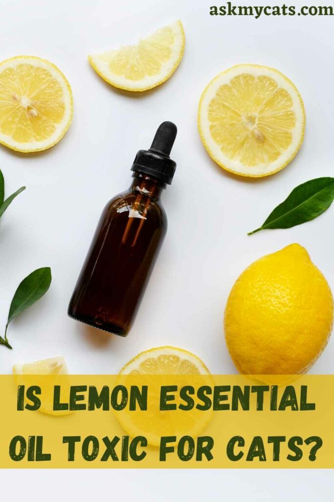 Is Lemon Essential Oil Toxic For Cats?