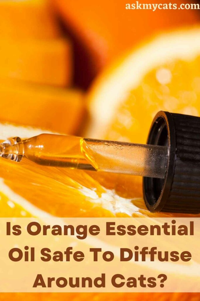 Is Orange Essential Oil Safe To Diffuse Around Cats?