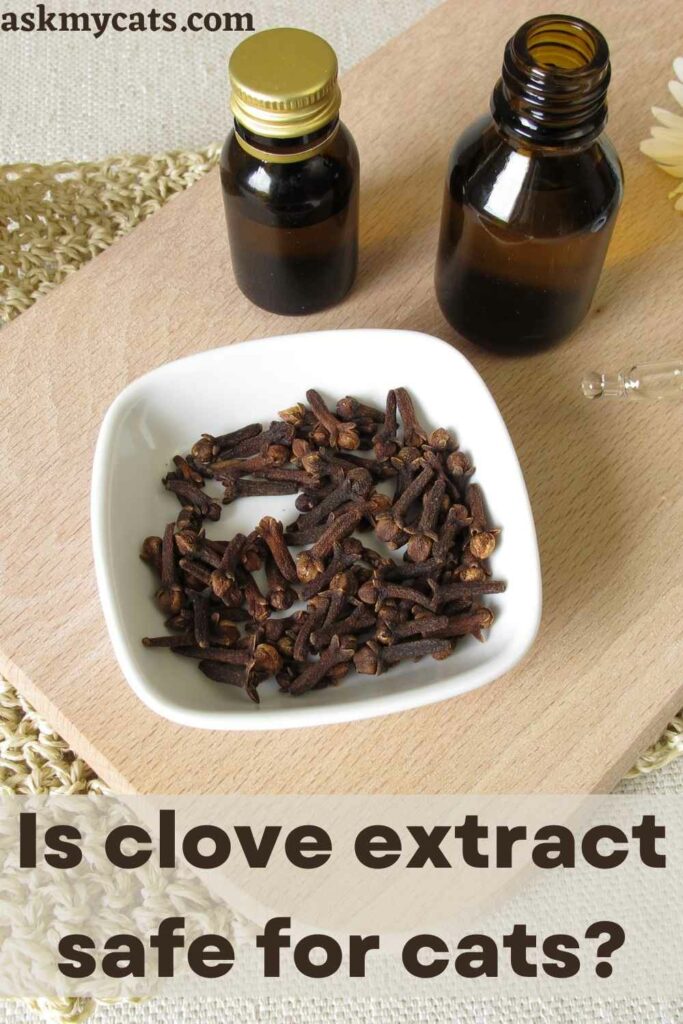 Is clove extract safe for cats?