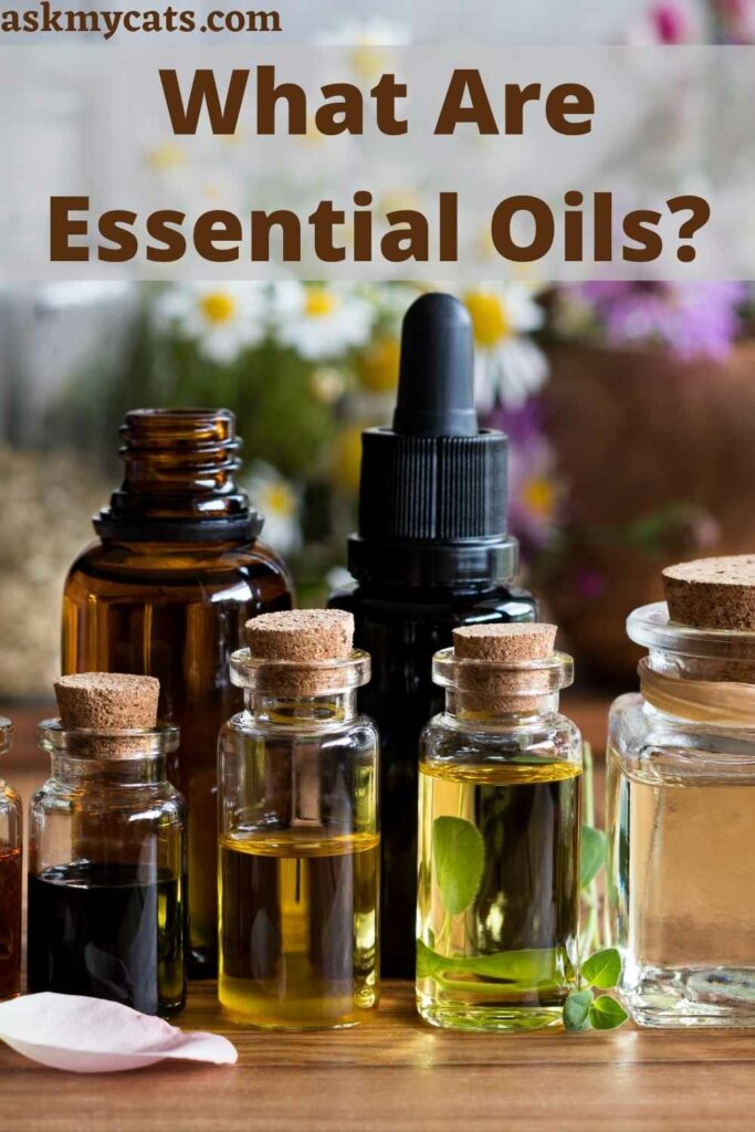 What Are Essential Oils?