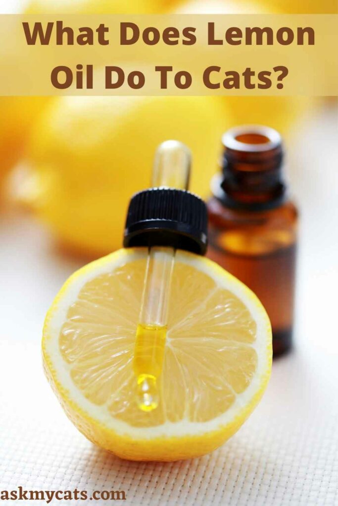 What Does Lemon Oil Do To Cats?