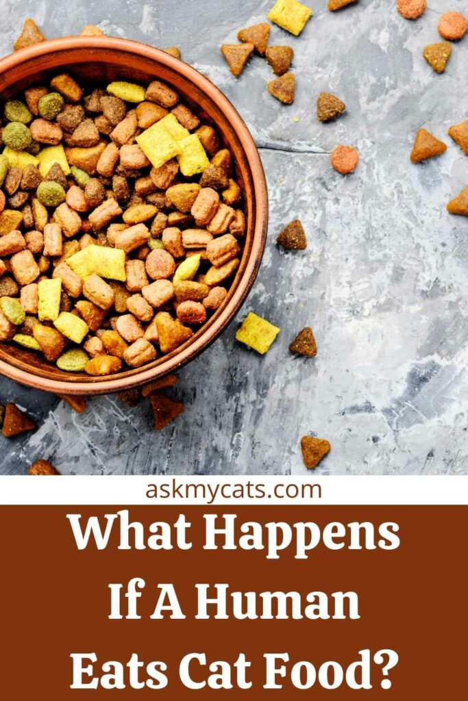 What Happens If A Human Eats Cat Food?