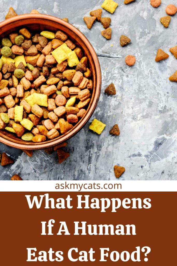 is cat food edible for humans