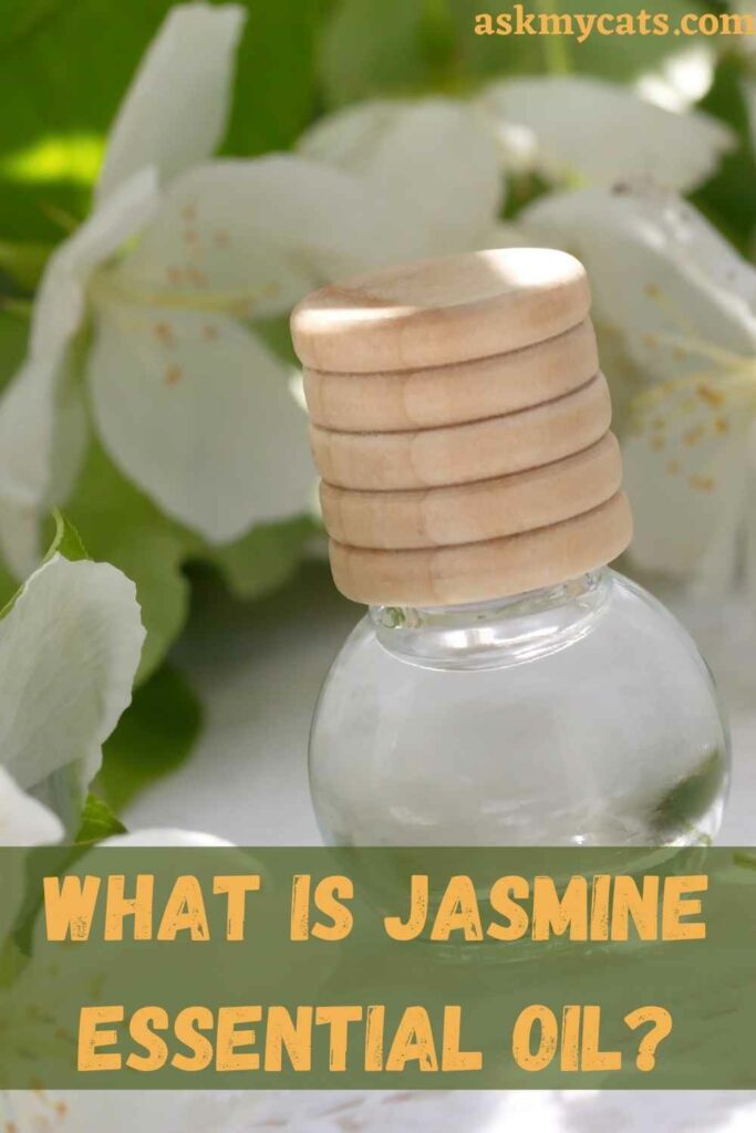 What Is Jasmine Essential Oil?