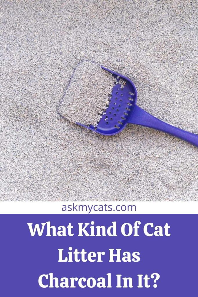What Kind Of Cat Litter Has Charcoal In It?