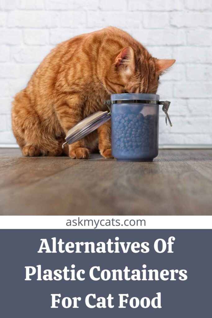 Alternatives Of Plastic Containers For Cat Food
