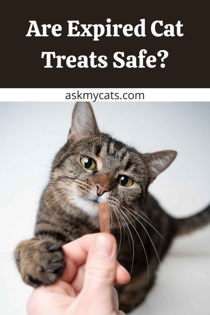 Are Expired Cat Treats Safe?