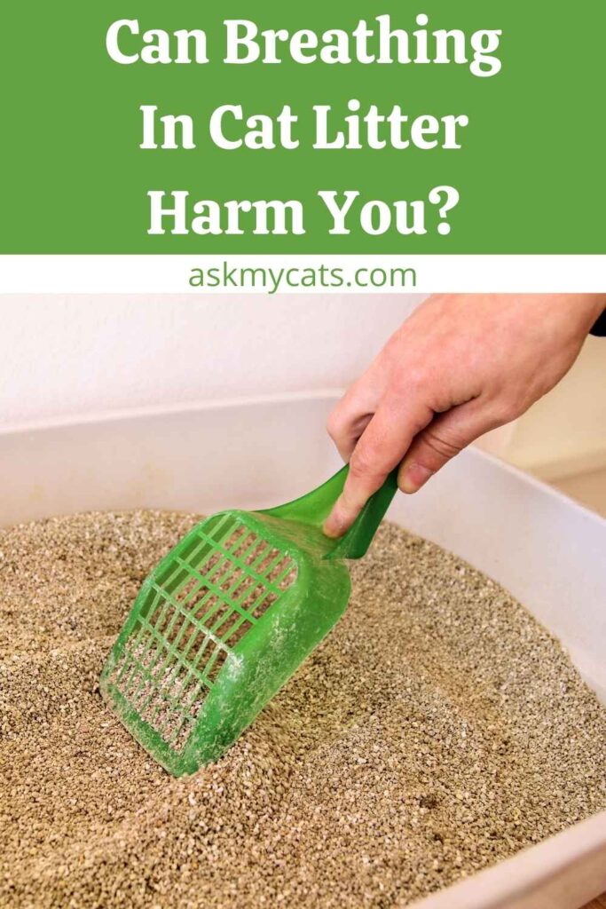 Can Breathing In Cat Litter Harm You?