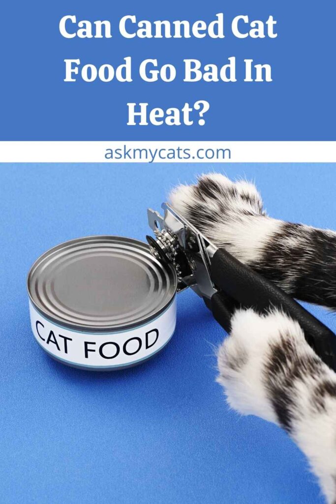 Can Canned Cat Food Go Bad In Heat?
