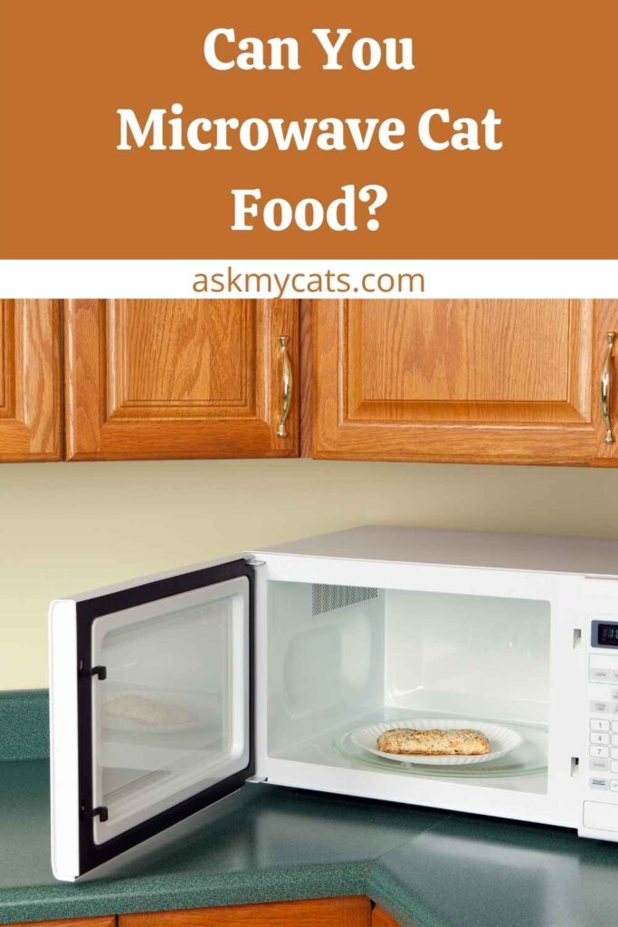 Can You Microwave Cat Food?
