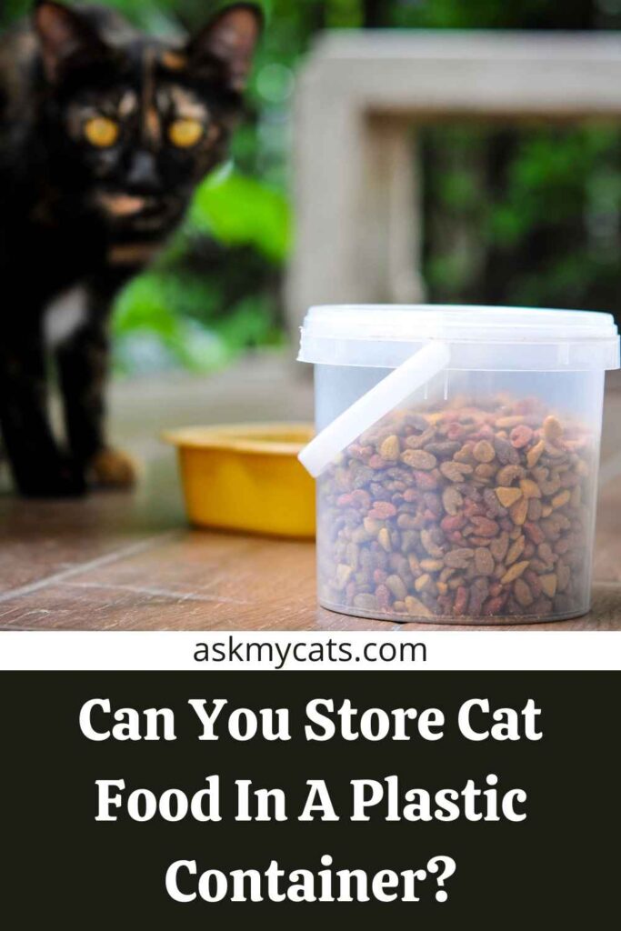 Can You Store Cat Food In A Plastic Container?