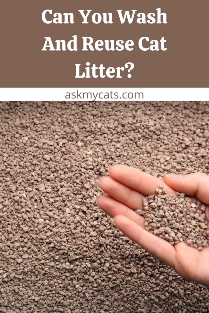 Can You Wash And Reuse Cat Litter?