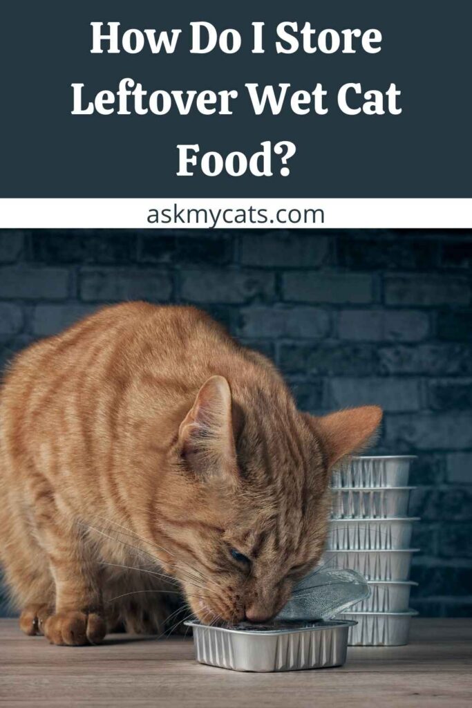 How Do I Store Leftover Wet Cat Food?