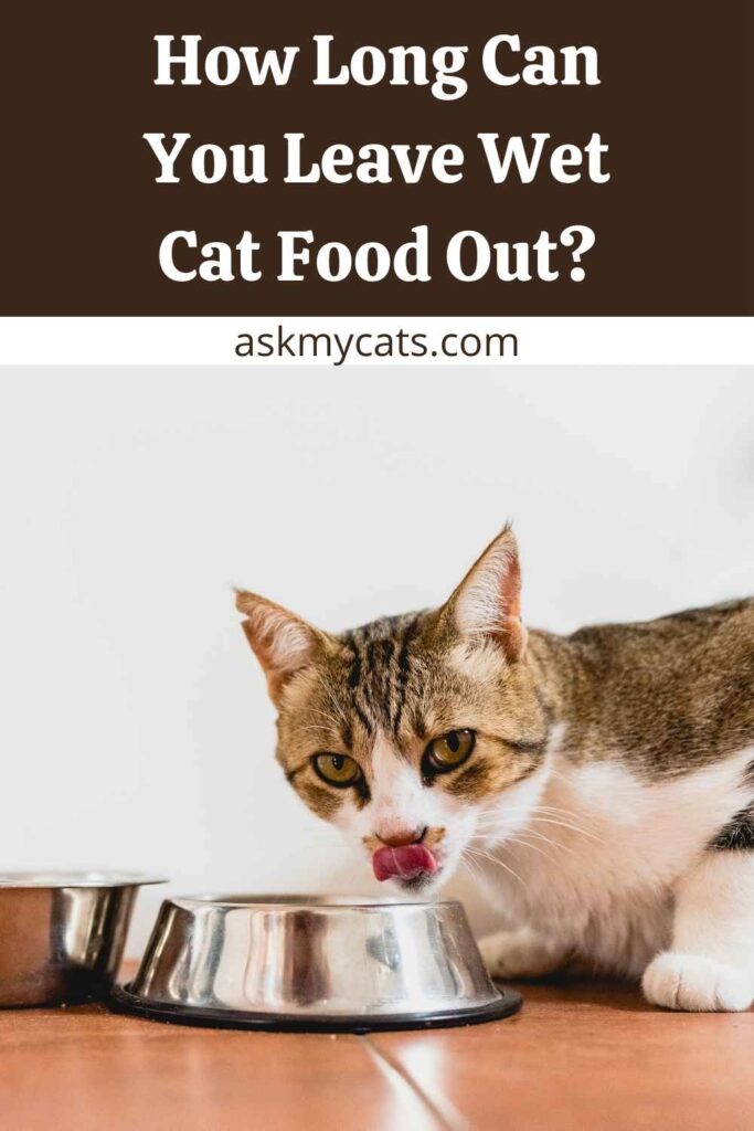 How Long Can You Leave Wet Cat Food Out?