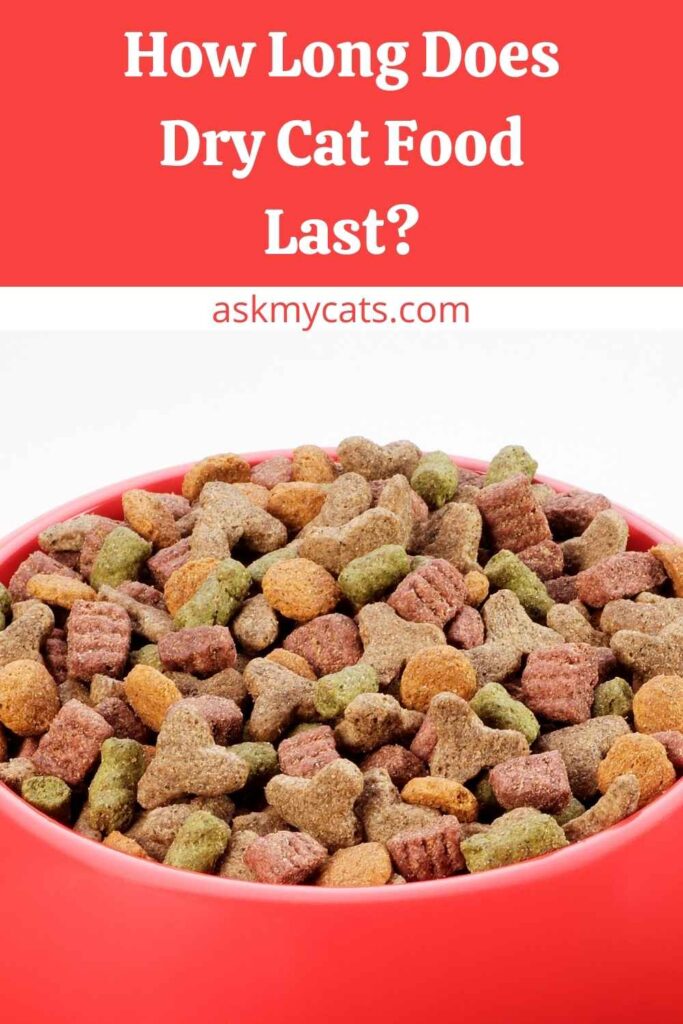 How Long Does Dry Cat Food Last?