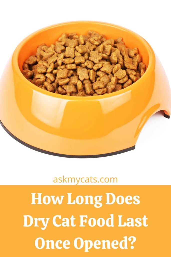 How Long Does Dry Cat Food Last Once Opened?