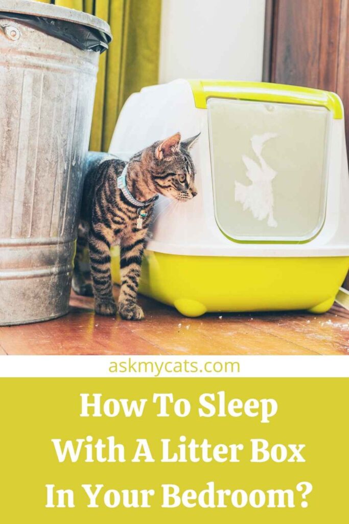 How To Sleep With A Litter Box In Your Bedroom?