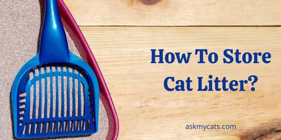 How To Store Cat Litter