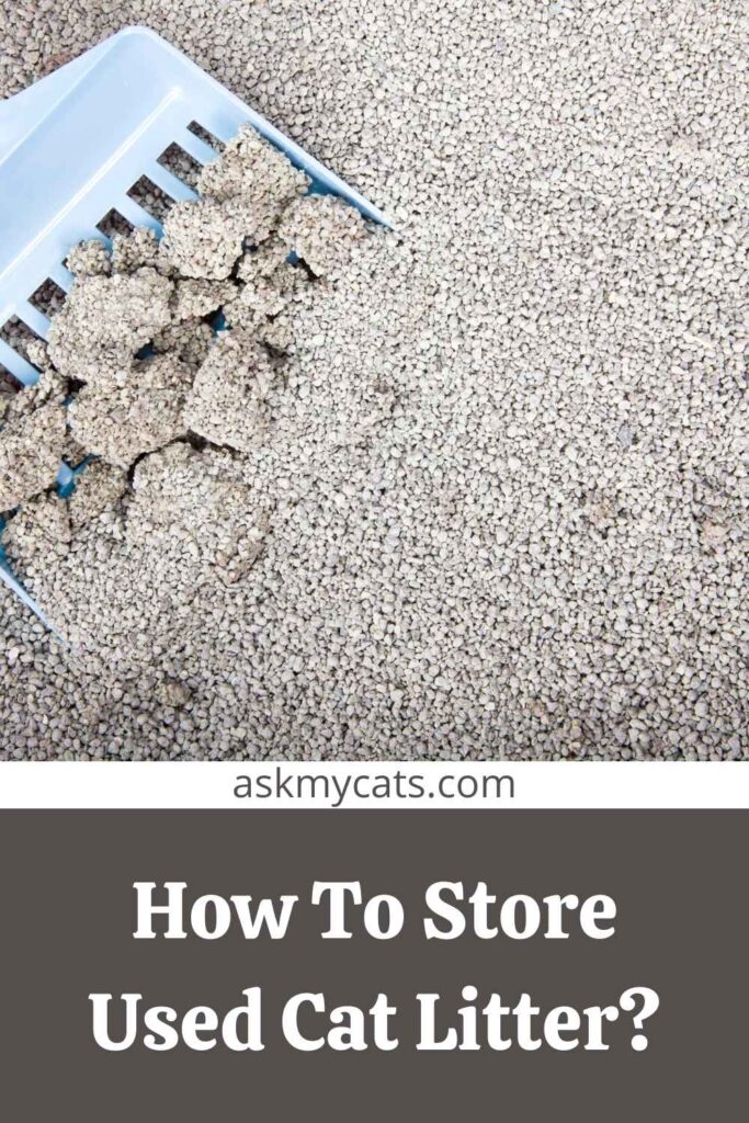 How To Store Used Cat Litter?