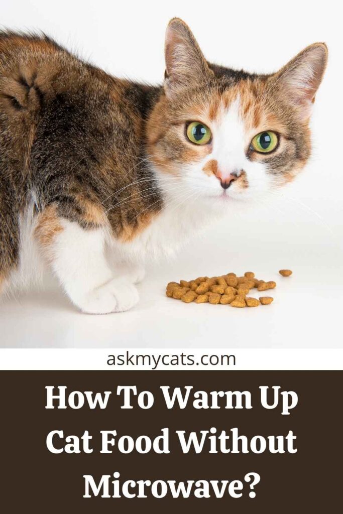How To Warm Up Cat Food Without Microwave?