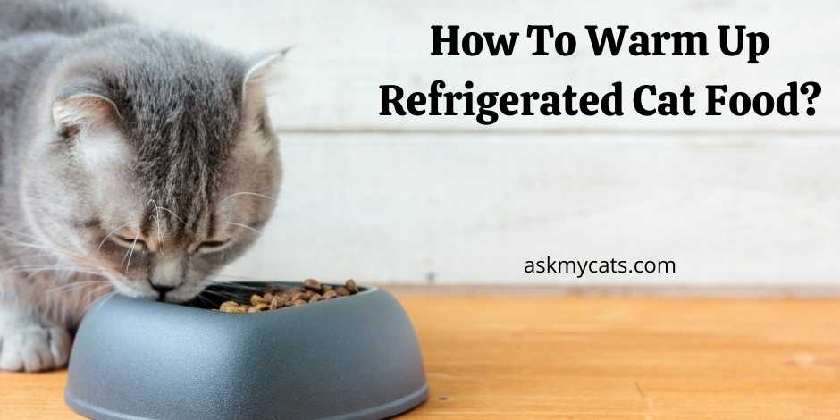 Can you refrigerate shop wet cat food