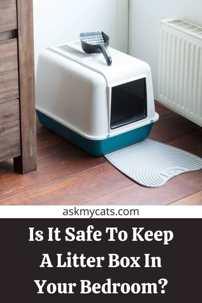 Is It Safe To Keep A Litter Box In Your Bedroom?