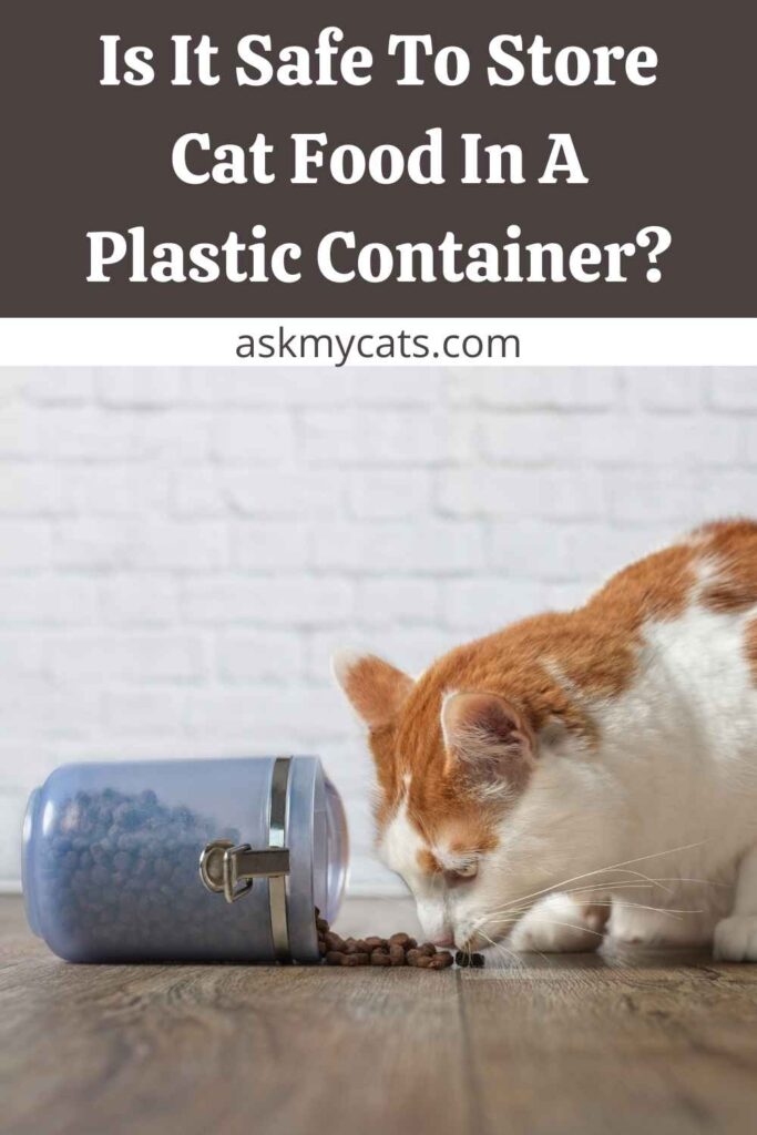 Is It Safe To Store Cat Food In A Plastic Container?
