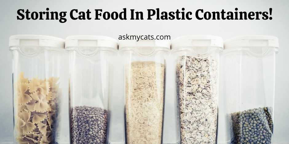 Storing Cat Food In Plastic Containers