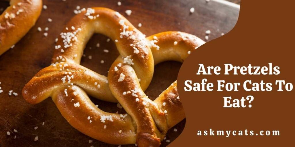 Are Pretzels Safe For Cats To Eat?