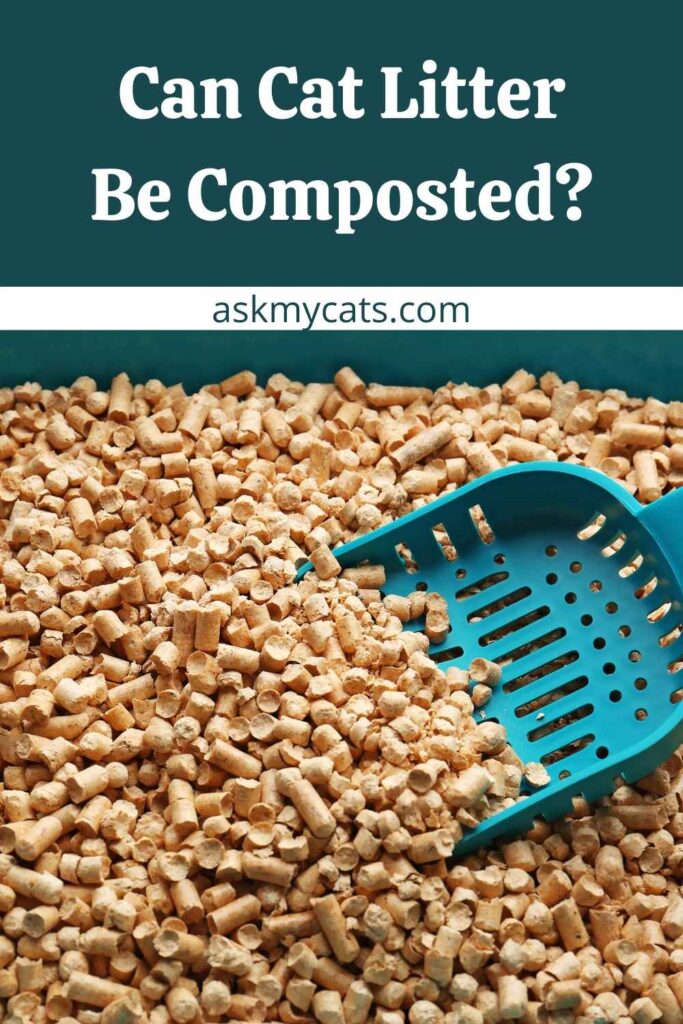 Can Cat Litter Be Composted?