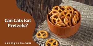 Can Cats Eat Pretzels? Are Pretzels Safe For Cats To Eat?