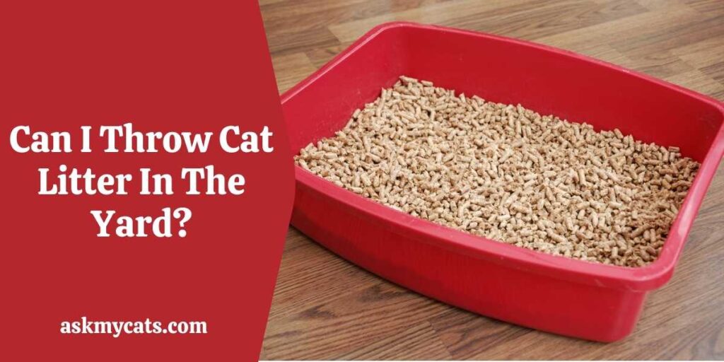 Disposing Of Cat Litter Outside! Is It Safe To Dump Cat Litter Outside?