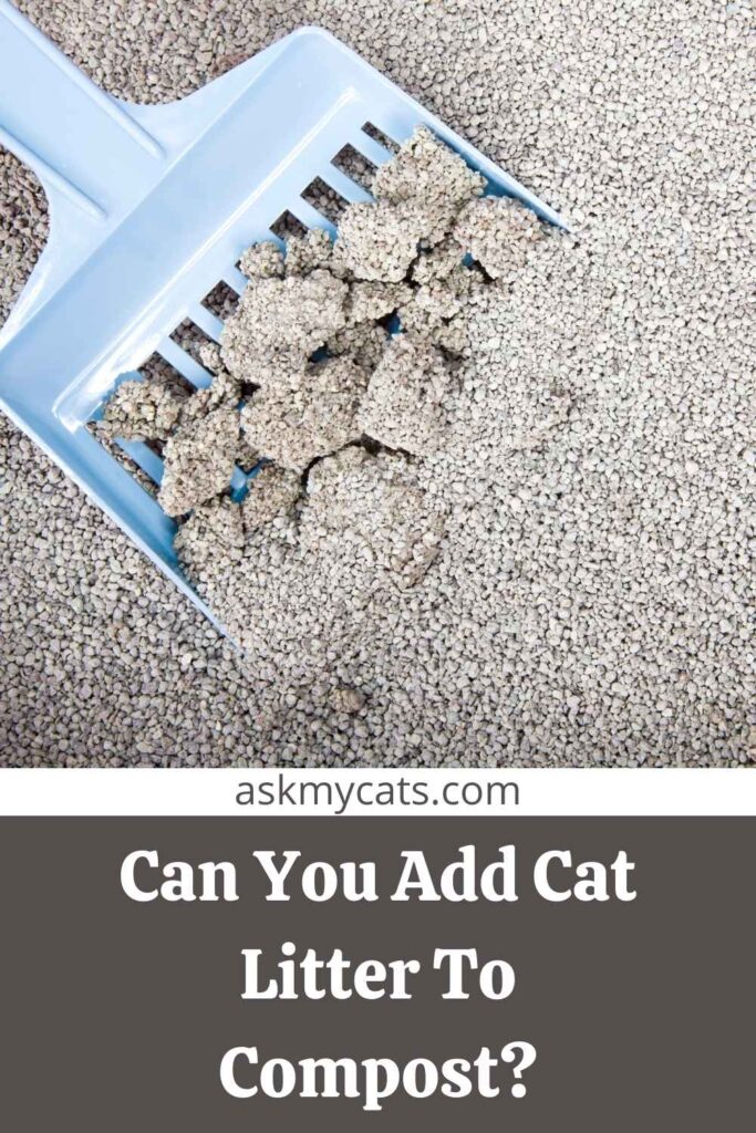 Can You Add Cat Litter To Compost?