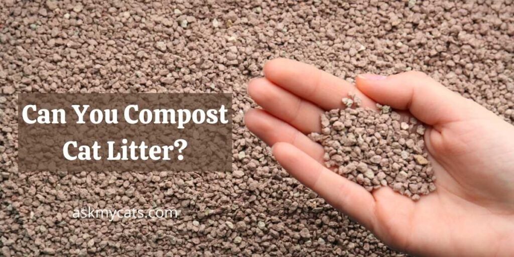 Can You Compost Cat Litter